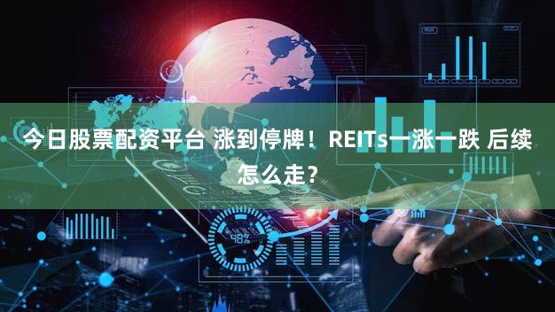 今日股票配资平台 涨到停牌！REITs一涨一跌 后续怎么走？