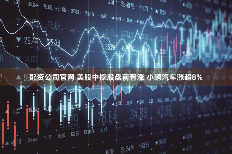 配资公司官网 美股中概股盘前普涨 小鹏汽车涨超8%
