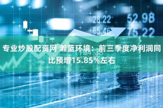 专业炒股配资网 瀚蓝环境：前三季度净利润同比预增15.85%左右