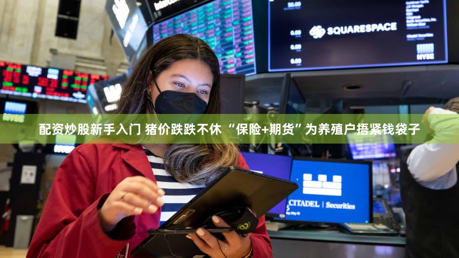 配资炒股新手入门 猪价跌跌不休 “保险+期货”为养殖户捂紧钱袋子