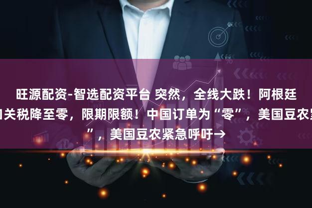 旺源配资-智选配资平台 突然,全线大跌!阿根廷将豆类出口关税降至零,限期限额!中国订单为“零”,美国豆农紧急呼吁→