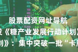 股票配资网址导航 广西印发《糖产业发展行动计划》:集中突破一批“卡脖子”技术