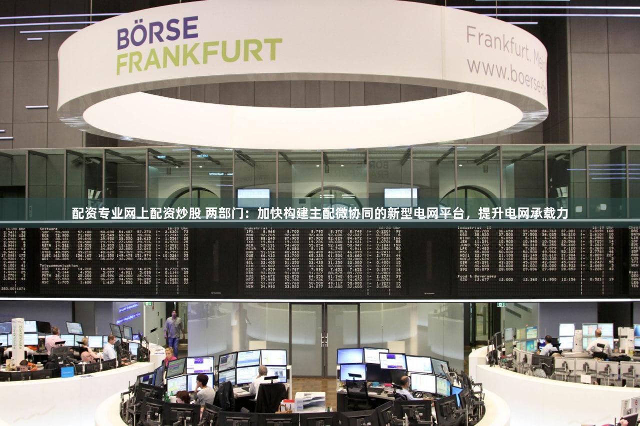 配资专业网上配资炒股 两部门:加快构建主配微协同的新型电网平台,提升电网承载力