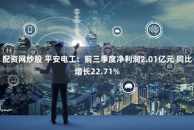 配资网炒股 平安电工：前三季度净利润2.01亿元 同比增长22.71%