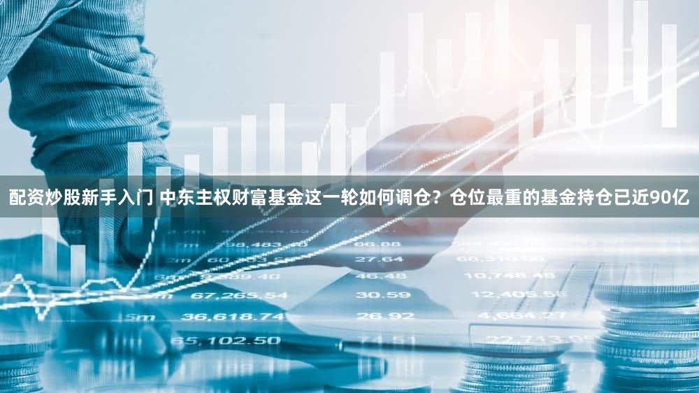 配资炒股新手入门 中东主权财富基金这一轮如何调仓?仓位最重的基金持仓已近90亿
