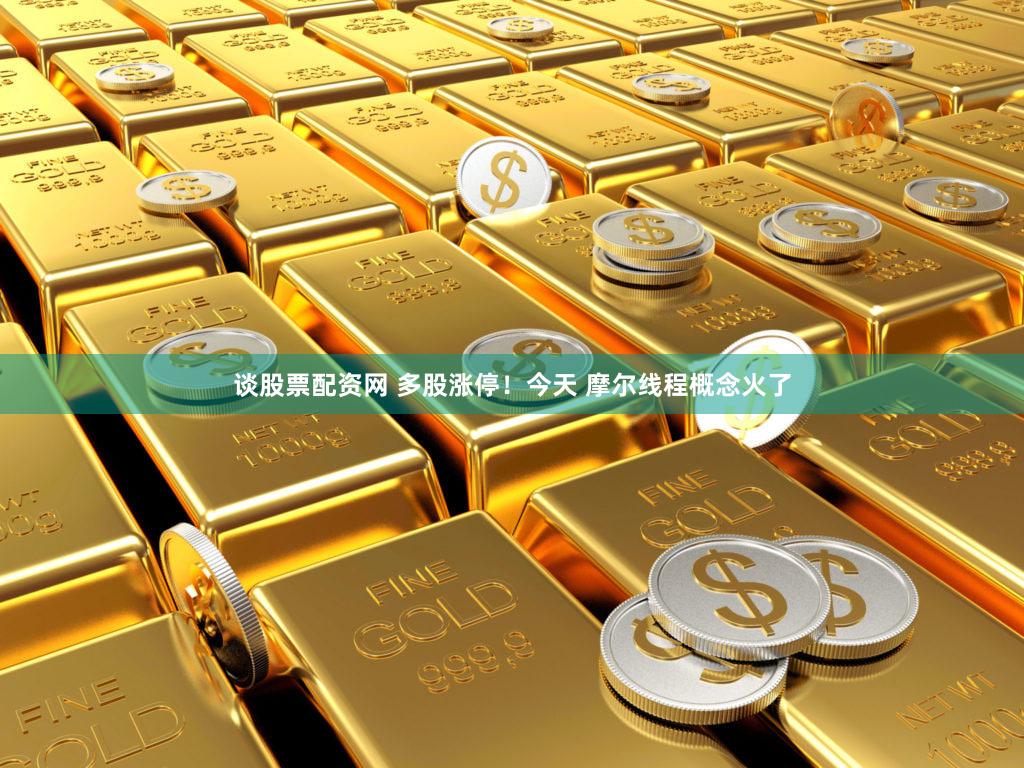 谈股票配资网 多股涨停！今天 摩尔线程概念火了