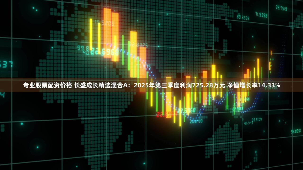 专业股票配资价格 长盛成长精选混合A：2025年第三季度利润725.28万元 净值增长率14.33%