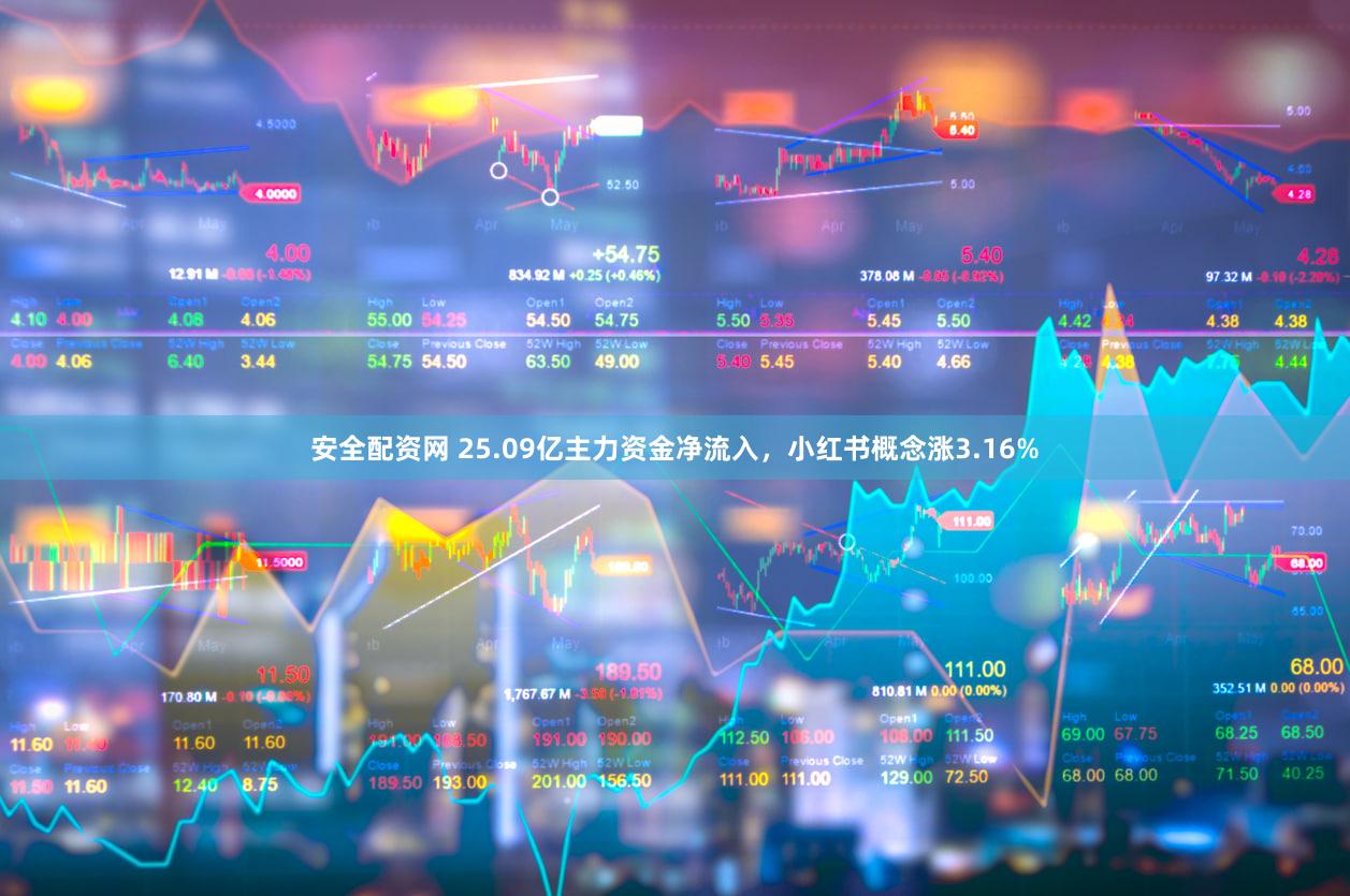 安全配资网 25.09亿主力资金净流入，小红书概念涨3.16%