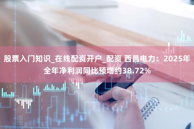 股票入门知识_在线配资开户_配资 西昌电力：2025年全年净利润同比预增约38.72%
