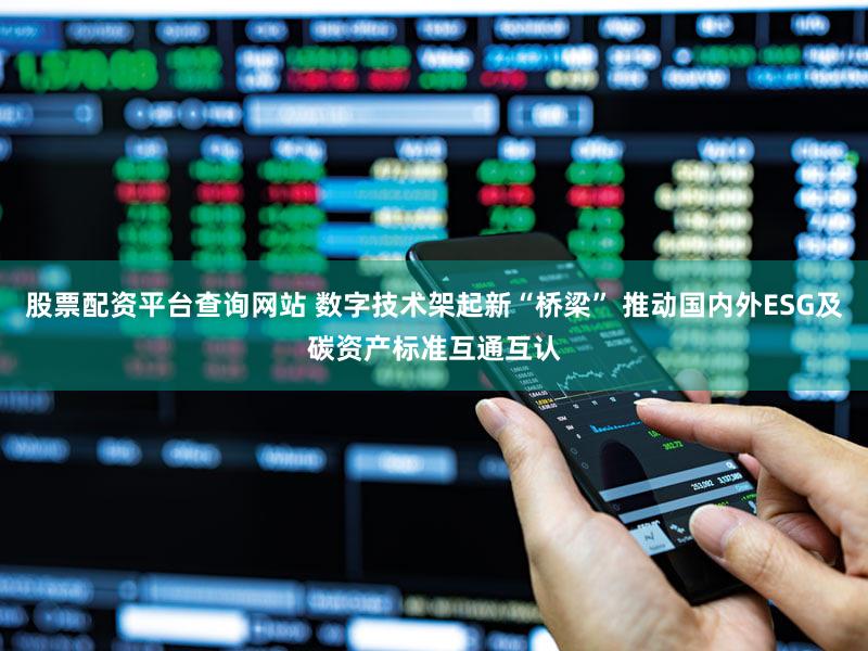 股票配资平台查询网站 数字技术架起新“桥梁” 推动国内外ESG及碳资产标准互通互认